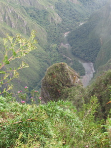 MachuPicchu 13