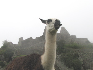 MachuPicchu 2