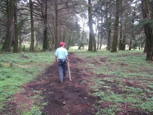 Sendero potrero