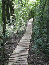 trail near Steinvorth's property