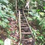 Tirimbina wet stairs - peldaños mojados en Tirimbina