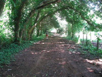 Nauyaca Road