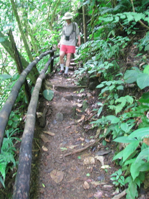 Nauyaca trail2